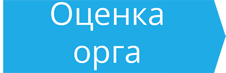 Иконка этапа «Оценка организатора»